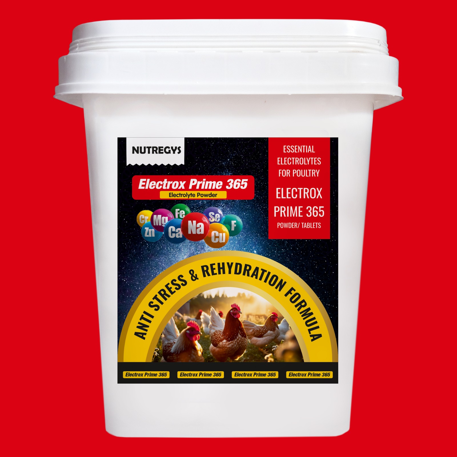 WhatsApp Image 2025-05-09 at 10.59.24 AM (2).jpeg